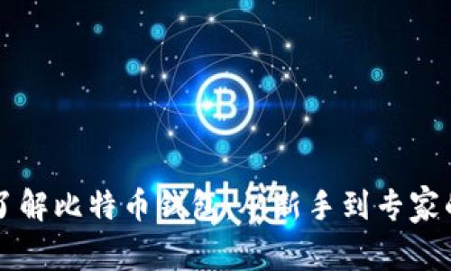 深入了解比特币钱包：从新手到专家的指南